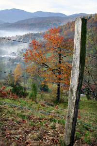 Vallée en montagne